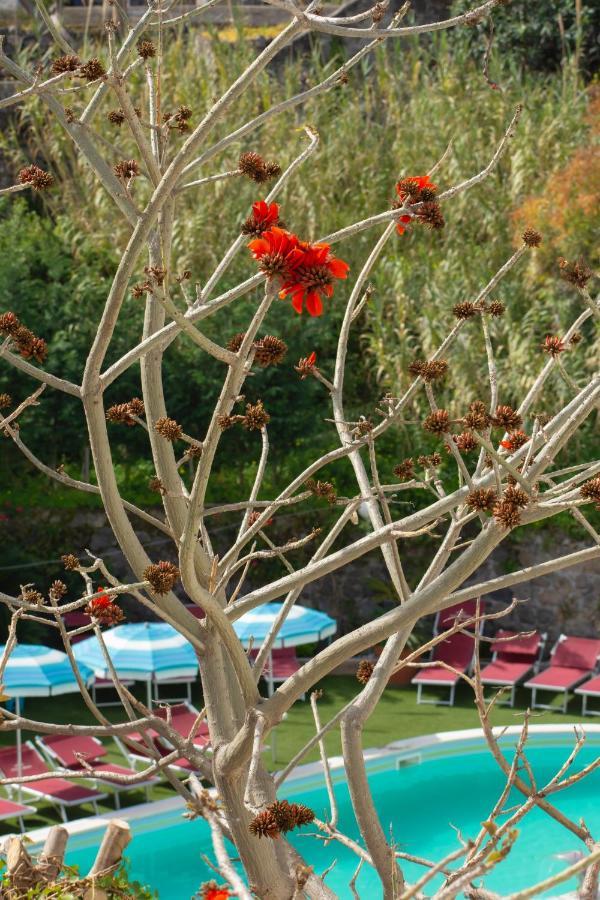 Casamicciola Terme Hotel Stella Maris Terme מראה חיצוני תמונה